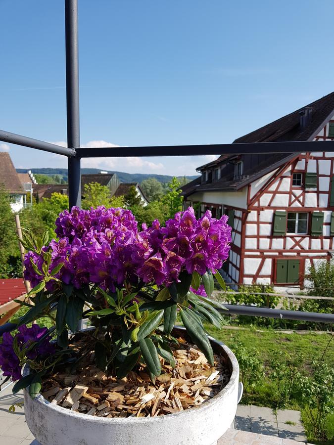 Garni-Hotel Muehletal Stein Am Rhein Exterior photo