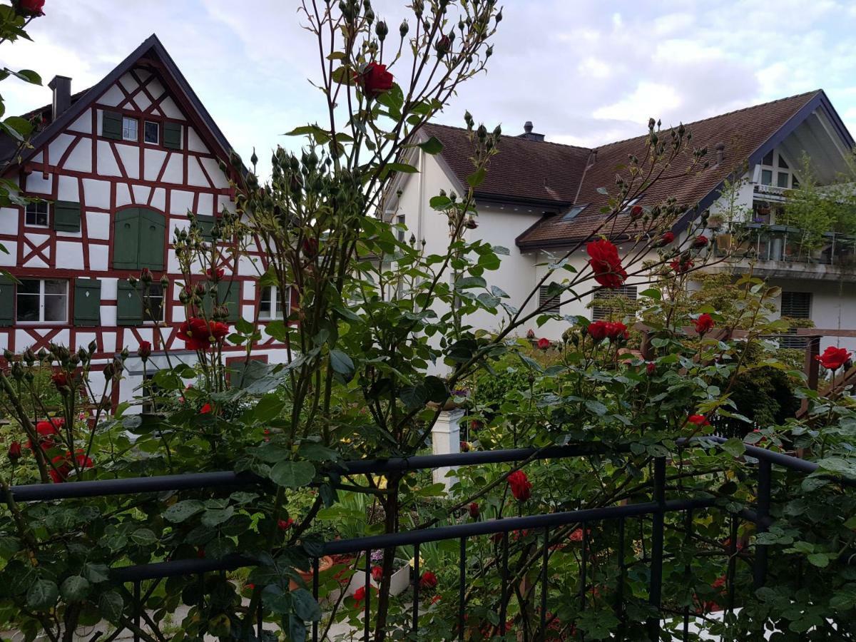 Garni-Hotel Muehletal Stein Am Rhein Exterior photo