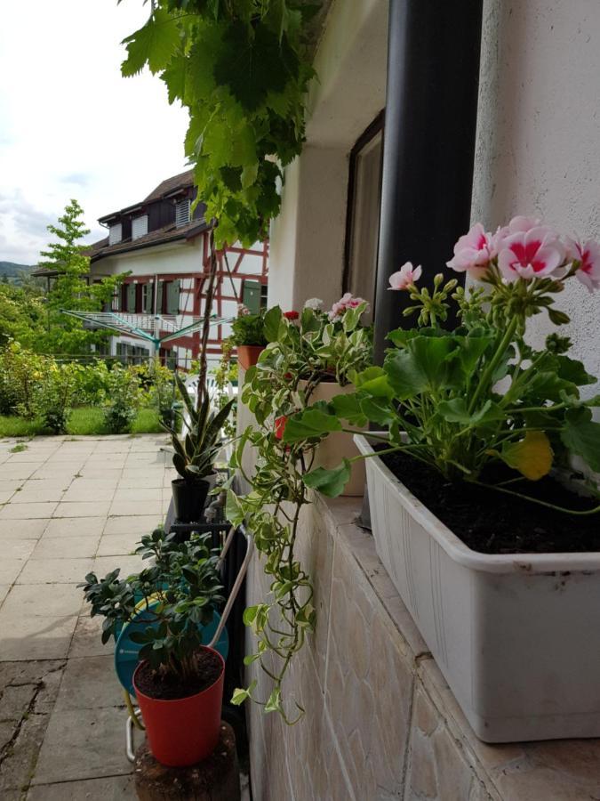 Garni-Hotel Muehletal Stein Am Rhein Exterior photo