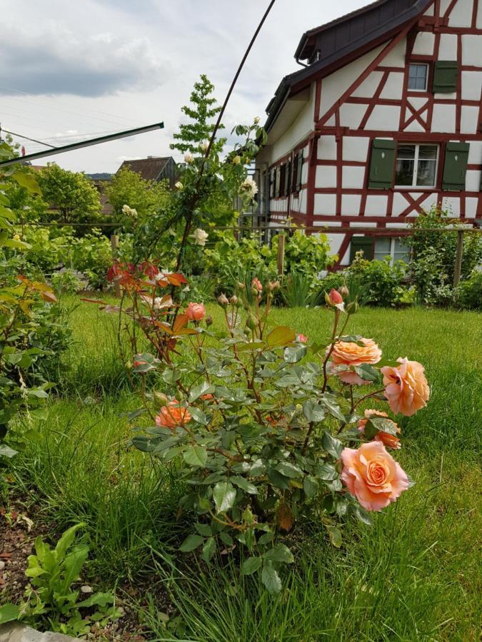 Garni-Hotel Muehletal Stein Am Rhein Exterior photo