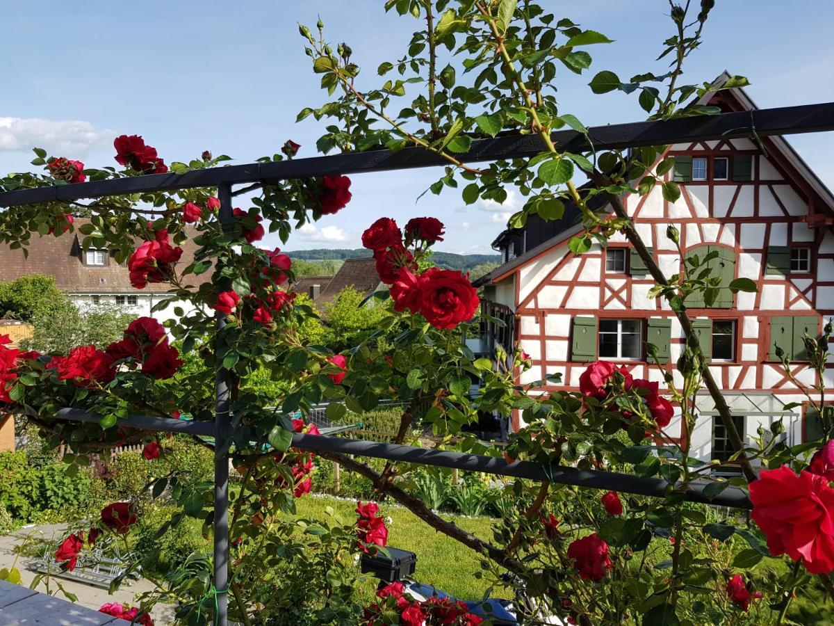 Garni-Hotel Muehletal Stein Am Rhein Exterior photo